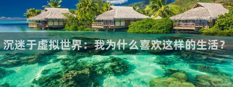 pg国际人：沉迷于虚拟世界：我为什么喜欢这样的生活？