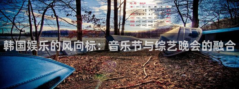 pg国际下载：韩国娱乐的风向标：音乐节与综艺晚会的融合