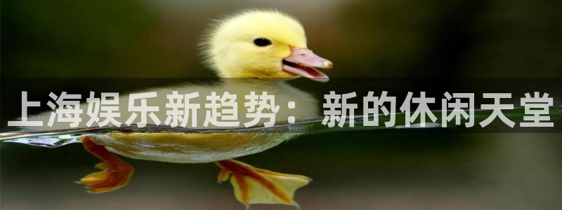 pg国际下载：上海娱乐新趋势：新的休闲天堂